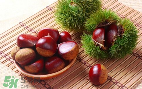 板栗酒能治療腎陽(yáng)虛嗎？板栗泡酒真的能壯陽(yáng)嗎？