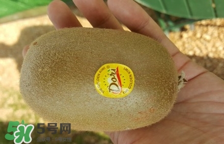 黃心獼猴桃叫什么名字？黃心獼猴桃是什么品種