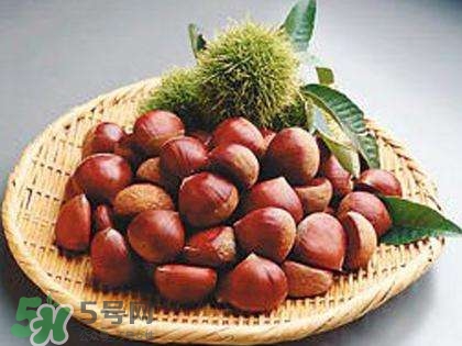板栗酒能治療腎陽(yáng)虛嗎？板栗泡酒真的能壯陽(yáng)嗎？