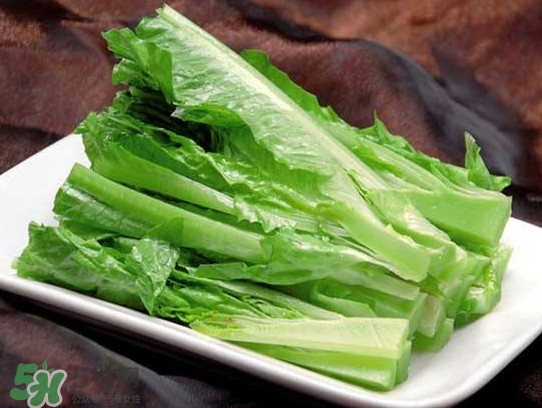 萵苣葉能吃嗎？萵苣葉和油麥菜有什么區(qū)別