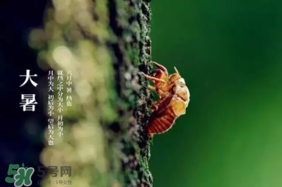 三伏天怎樣飲食？三伏天不宜做哪些事？