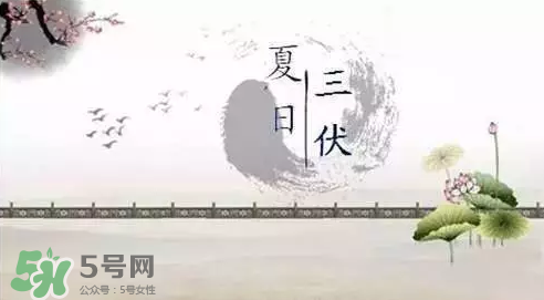 三伏天練什么？三伏天具體怎么養(yǎng)生？