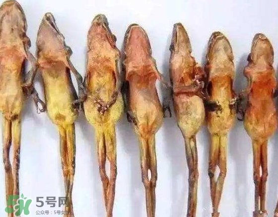 雪蛤干多少錢一斤？雪蛤干怎么吃？
