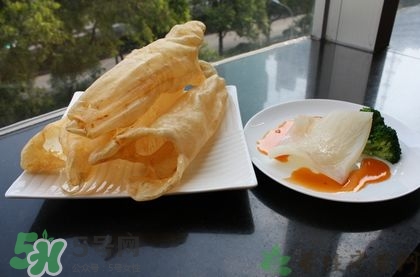 花膠可以放多久？花膠可以放冰箱嗎？