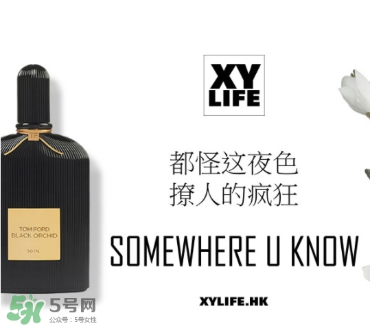 tom ford午夜蘭花香水怎么樣？香味好聞嗎