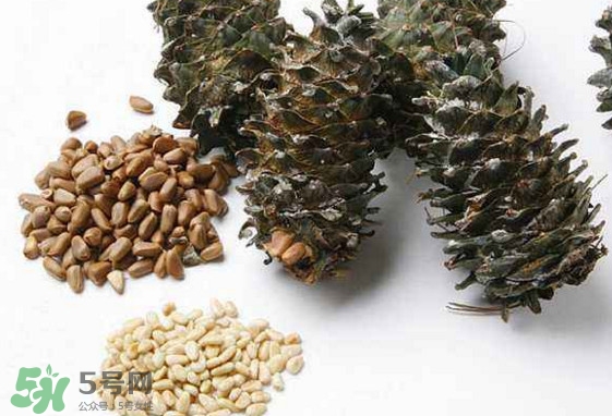 松子是松樹的果實(shí)嗎？松子是酸性還是堿性
