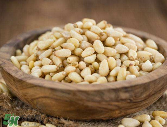 松籽是什么樹結(jié)的？松子還是松籽？