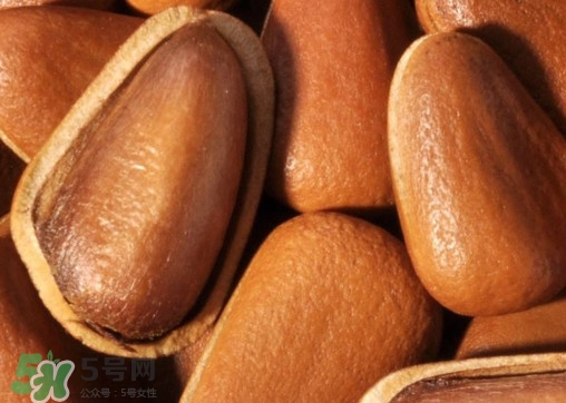 松籽什么季節(jié)采摘？吃松籽有什么好處？