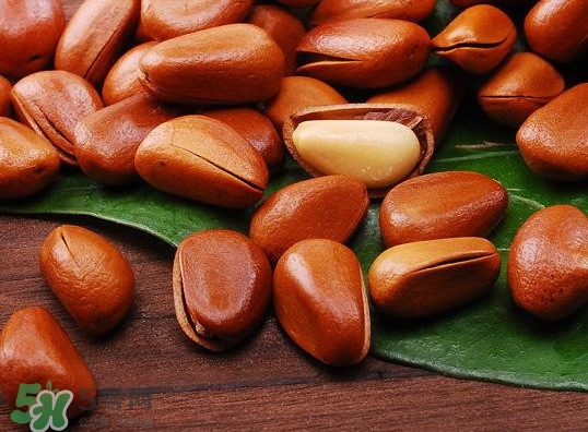 松籽可以生吃嗎？松籽怎么儲(chǔ)藏保存