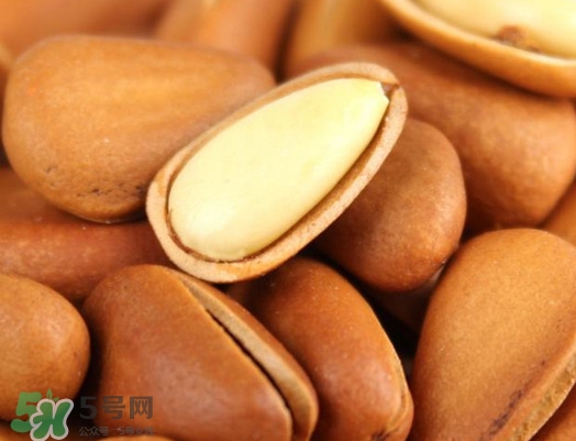 松籽過(guò)期還能吃嗎？松籽出芽是怎么回事
