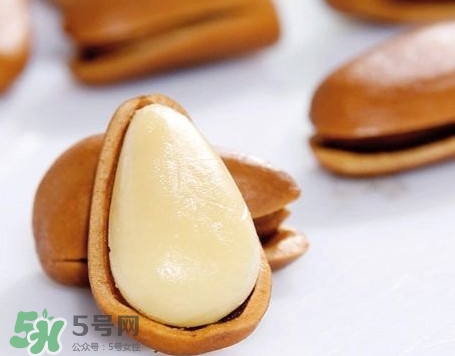 松子是松樹的果實(shí)嗎？松子是酸性還是堿性