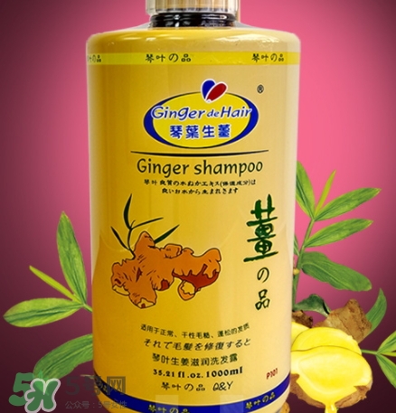 琴葉生姜洗發(fā)水好用嗎？琴葉生姜洗發(fā)水真假