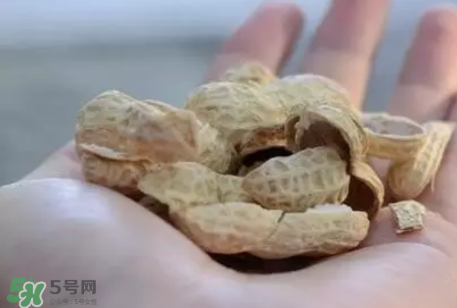 花生發(fā)芽后營養(yǎng)如何？花生殼煮水喝有什么用？