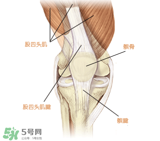 風(fēng)濕可以吃螃蟹嗎？得了風(fēng)濕能吃螃蟹嗎？