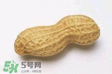 花生有哪些種類型？花生怎么栽培管理？