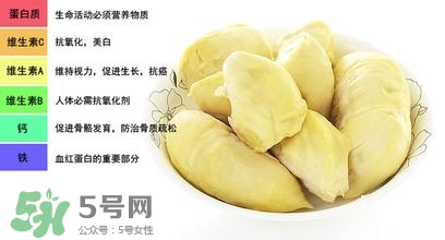 榴蓮可以榨汁嗎？榴蓮可以和什么榨汁？