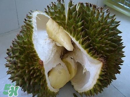 榴蓮和雞蛋能一起吃嗎？榴蓮和什么不能一起吃？