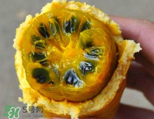 八月炸適合哪里種植？八月炸作用和功效是什么