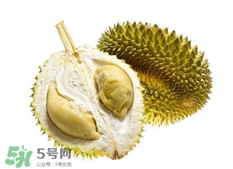 榴蓮籽能種嗎？榴蓮籽怎么種小盆栽？