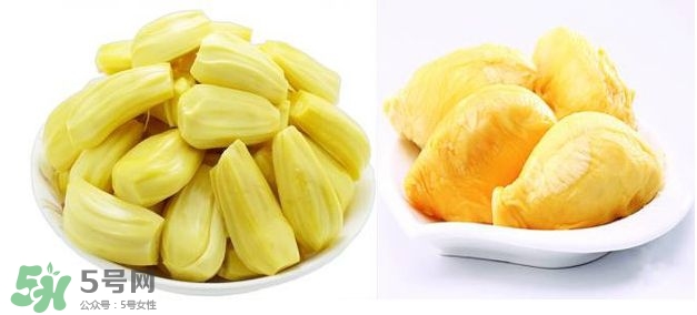 榴蓮和菠蘿蜜一樣嗎？榴蓮和菠蘿蜜哪個營養(yǎng)好？
