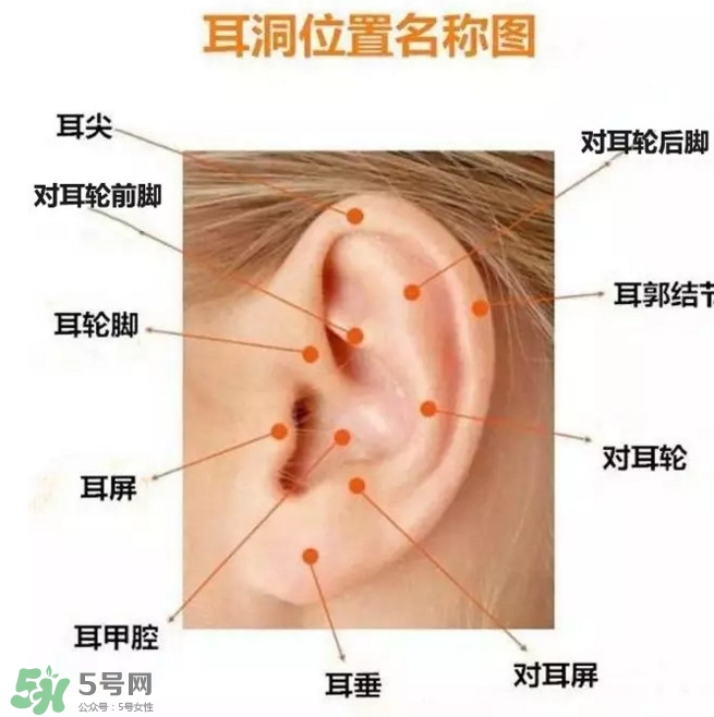 打耳洞多少錢一對？打耳洞相當于什么疼