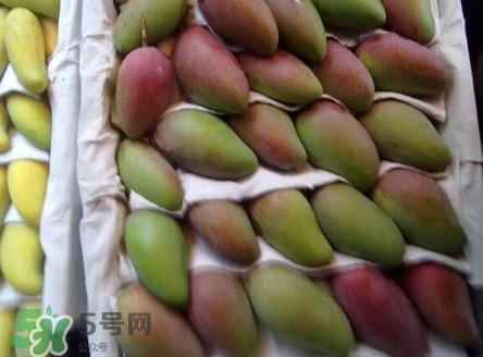 芒果有哪些品種？哪種芒果最好吃？