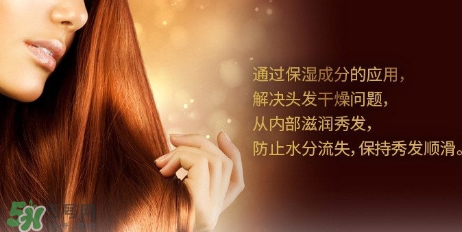 indefinie是什么牌子？indefinie洗發(fā)水怎么樣？