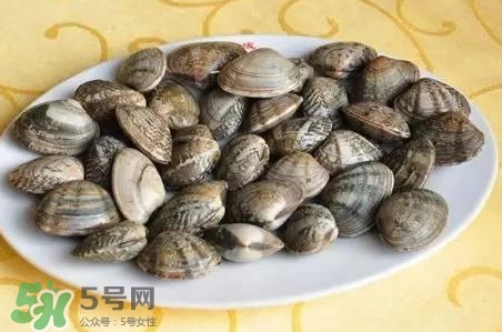 蛤蜊和花甲一樣嗎？蛤蜊和花甲的區(qū)別