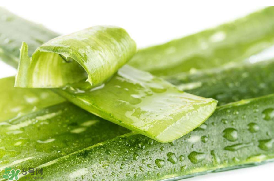 敏感肌能使用蘆薈護(hù)膚嗎？蘆薈膠有什么用？