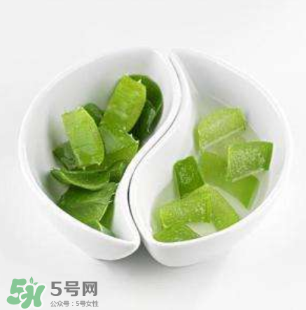 新鮮的蘆薈怎么吃？蘆薈的多種吃法