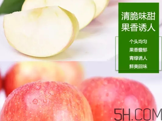 美八蘋果價格多少錢？美八蘋果多少錢一斤？