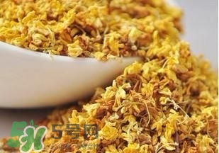 桂花茶怎么泡？桂花茶泡水喝的禁忌 