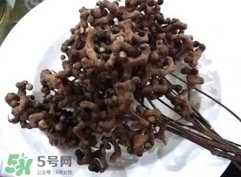 拐棗可以嫁接嗎？拐棗是哪里的特產