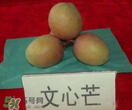 芒果有哪些品種？哪種芒果最好吃？