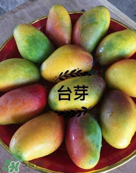 芒果有哪些品種？哪種芒果最好吃？