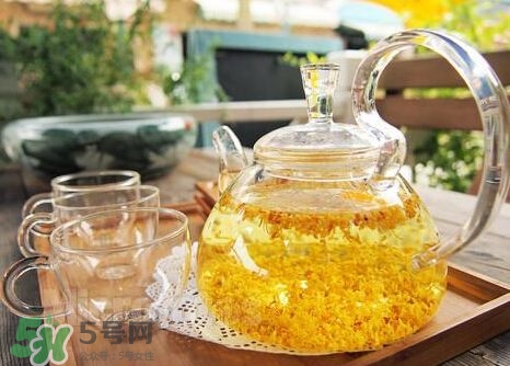 桂花茶怎么泡？桂花茶泡水喝的禁忌 