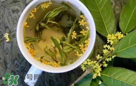 桂花茶怎么泡好喝？桂花茶怎么制作？