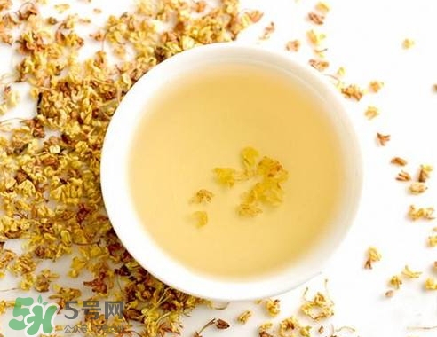 桂花茶怎么泡好喝？桂花茶怎么制作？