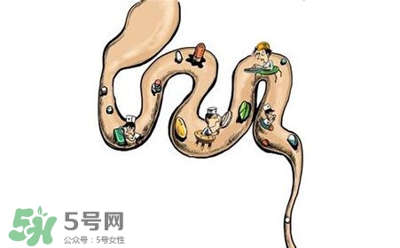 螺旋藻能治胃病嗎？有胃病日常需要注意什么？