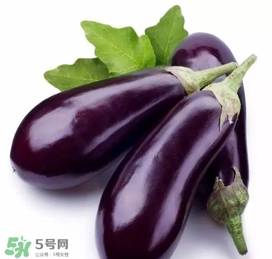 茄子把能預防口腔潰瘍嗎？茄子把的功效與作用