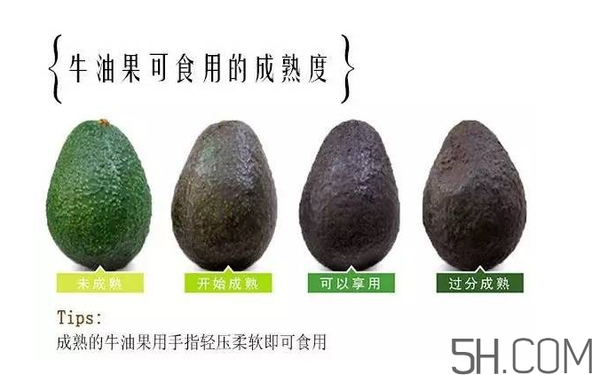 牛油果和香蕉一起能多吃嗎？牛油果挑什么樣的好？
