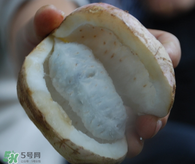 八月瓜可以經常吃嗎？八月瓜可以多吃嗎？