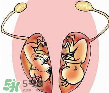 雙子宮對(duì)懷孕有影響嗎？雙子宮懷孕要注意什么？