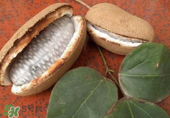 八月瓜能放冰箱嗎？八月瓜怎么保存？