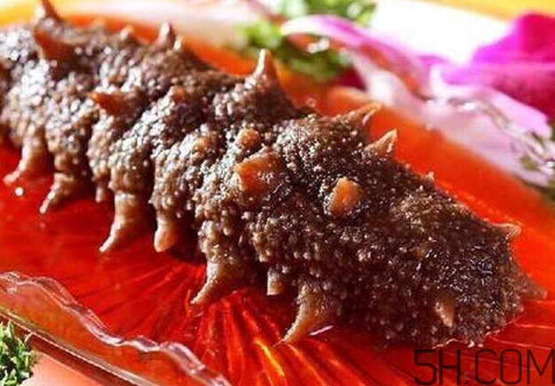 海參能和西紅柿一起吃嗎？海參和什么一起吃最好？
