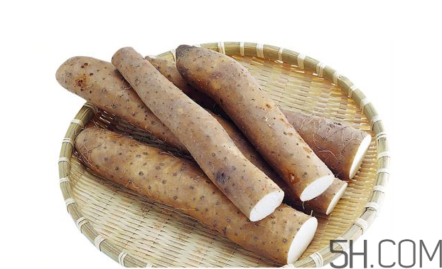 山藥發(fā)芽怎么處理？山藥的功效及作用