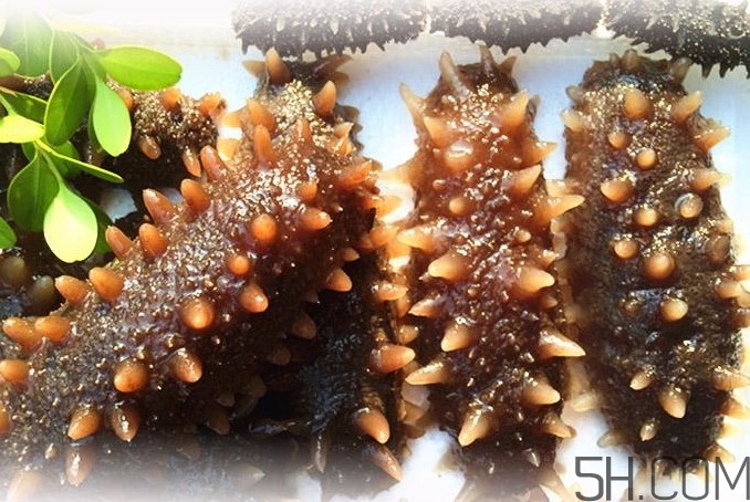 海參能和西紅柿一起吃嗎？海參和什么一起吃最好？