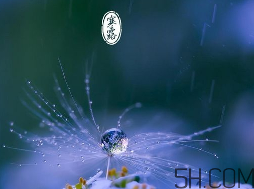 2017年寒露會下雨嗎？寒露下雨好嗎？