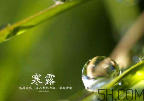 2017年寒露會下雨嗎？寒露下雨好嗎？