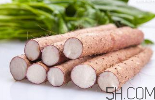山藥和白蘿卜可以一起燉湯嗎？冬天吃山藥的五大好處